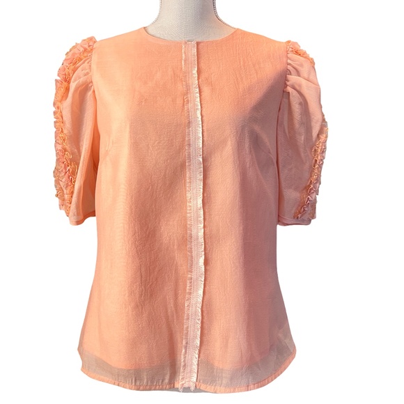 #A091   WHY DRESS Cottagecore  Peach Ruffle Puff Sleeve Top Organza NWT  L - Picture 3 of 12